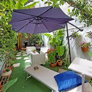 Luxury Domus Apartment Rome