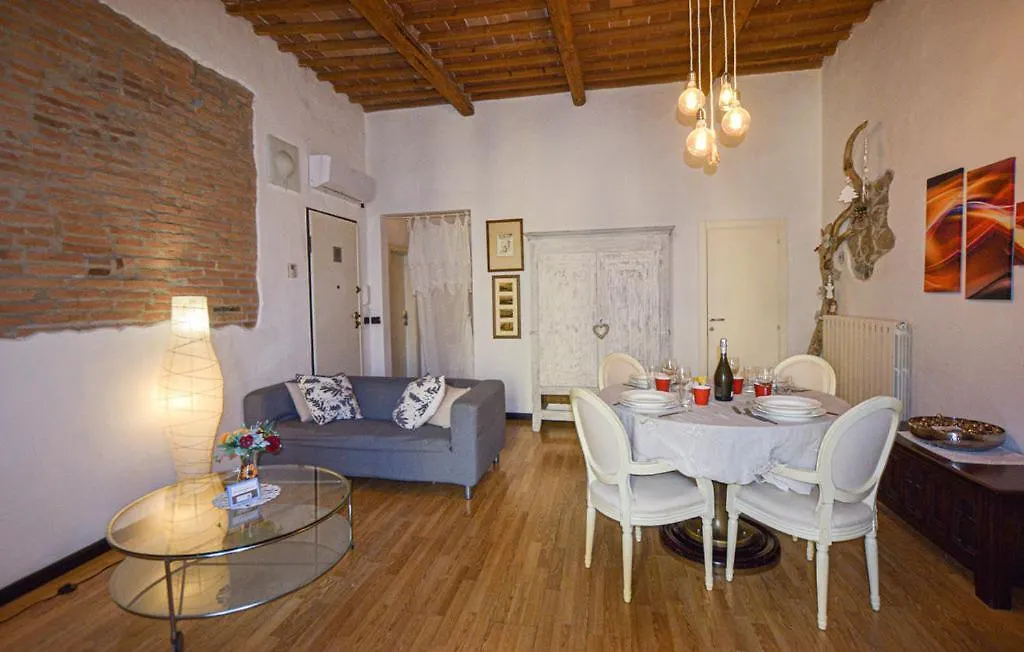 Seashell Piombino contacts